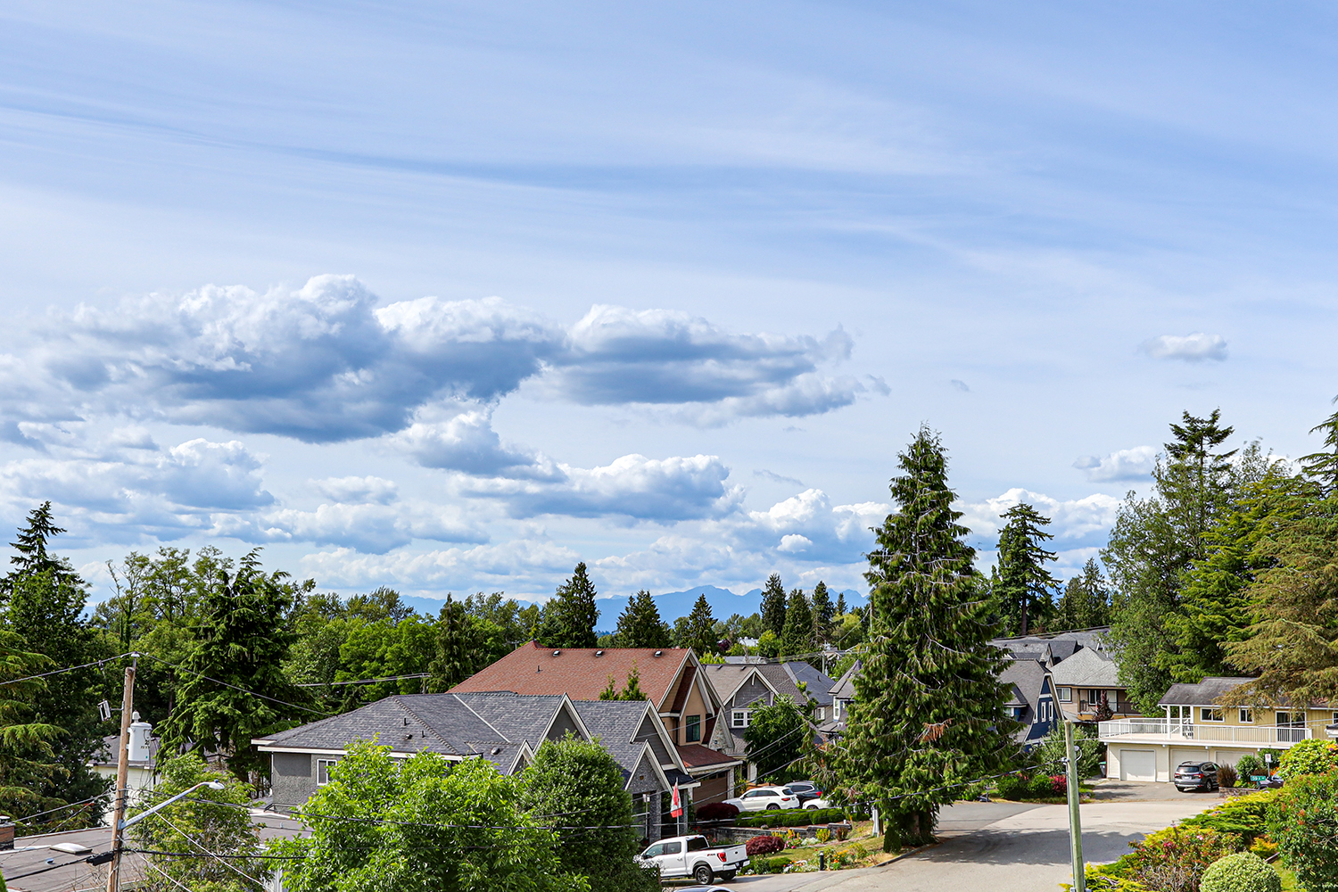 Property photo 159
