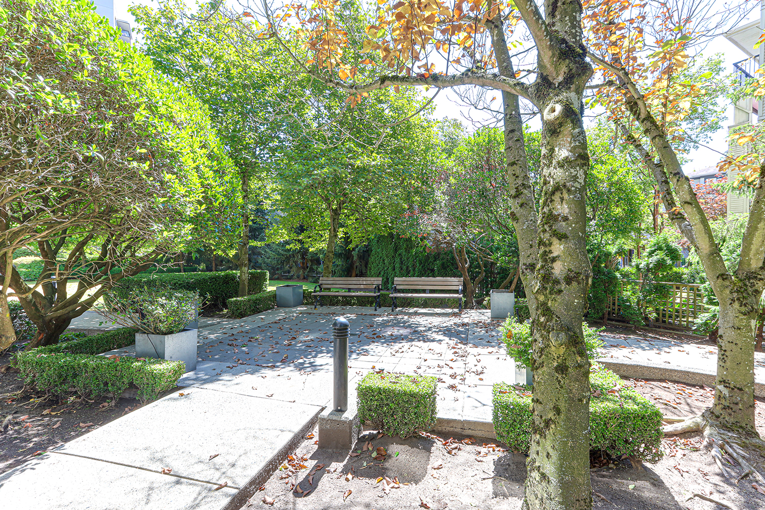 Property photo 123