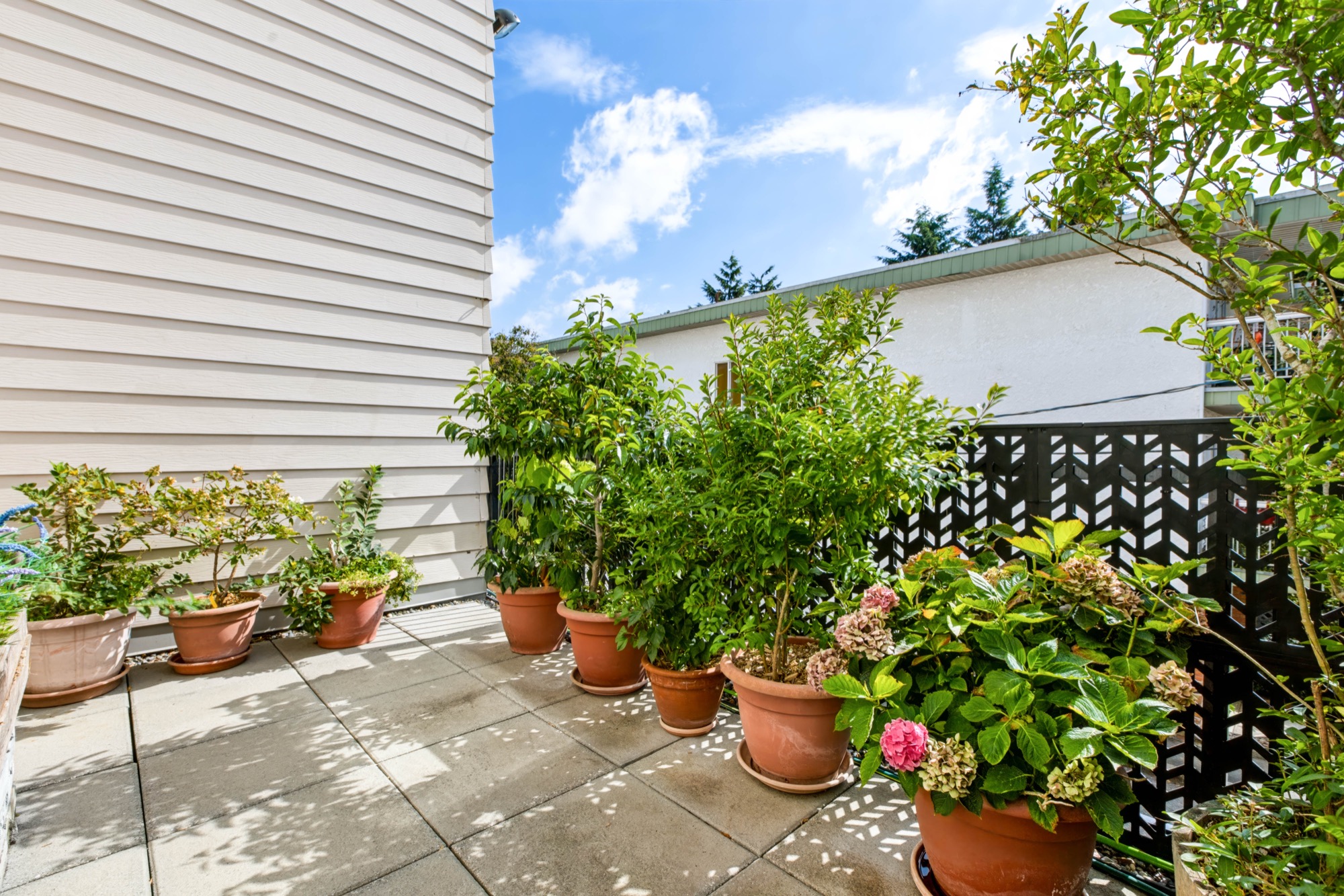 Property photo 118
