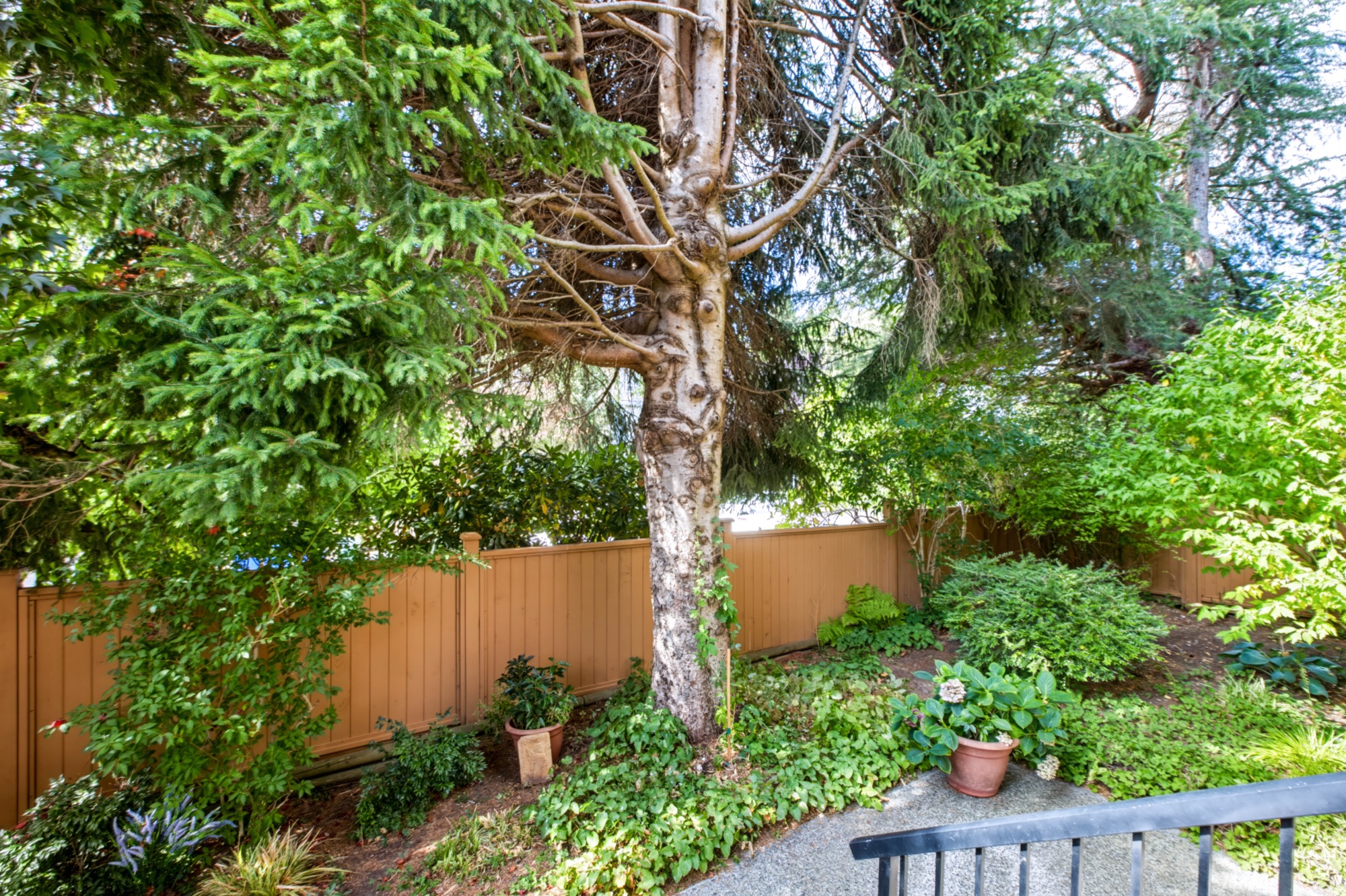 Property photo 123