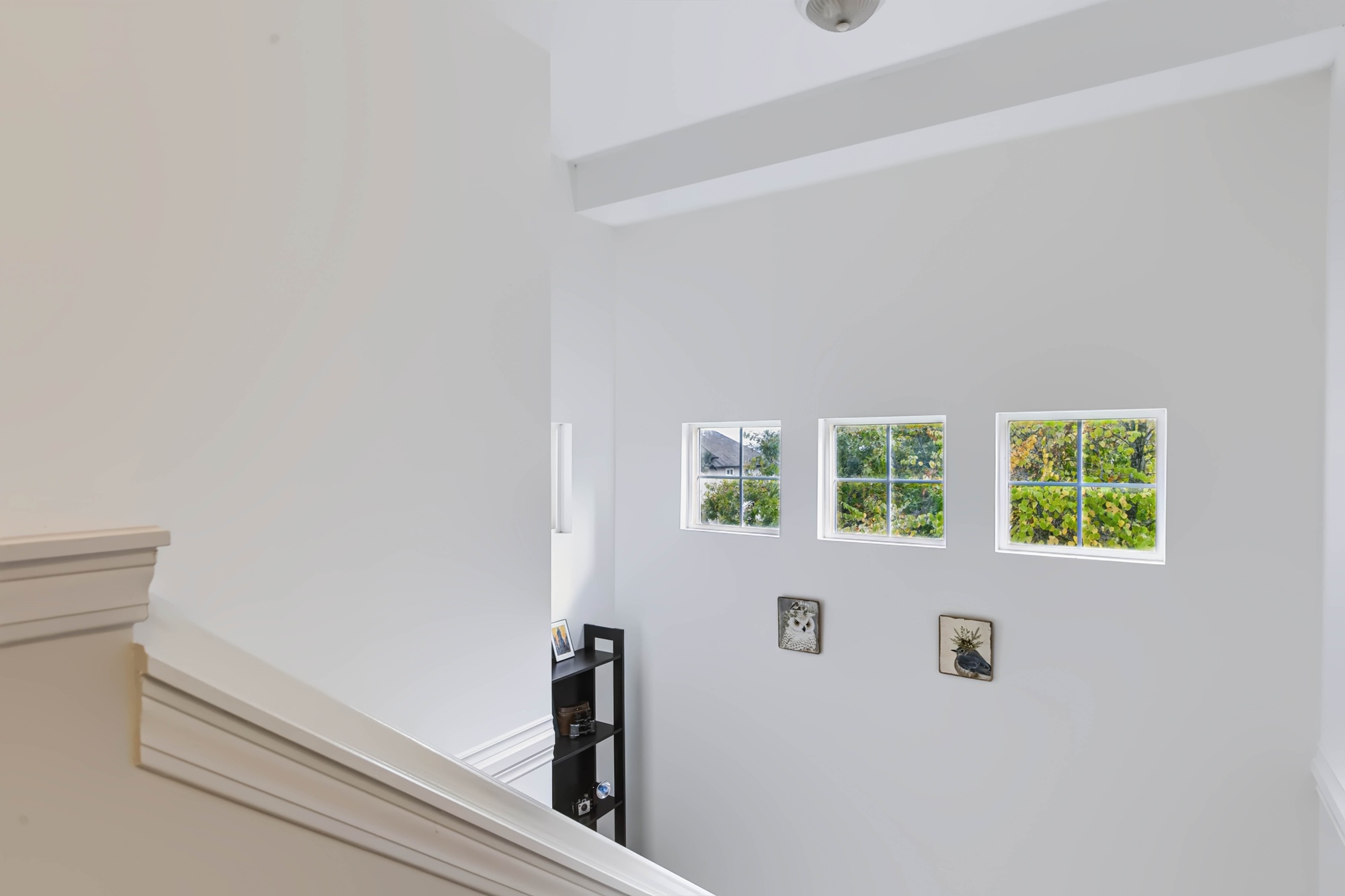Property photo 129