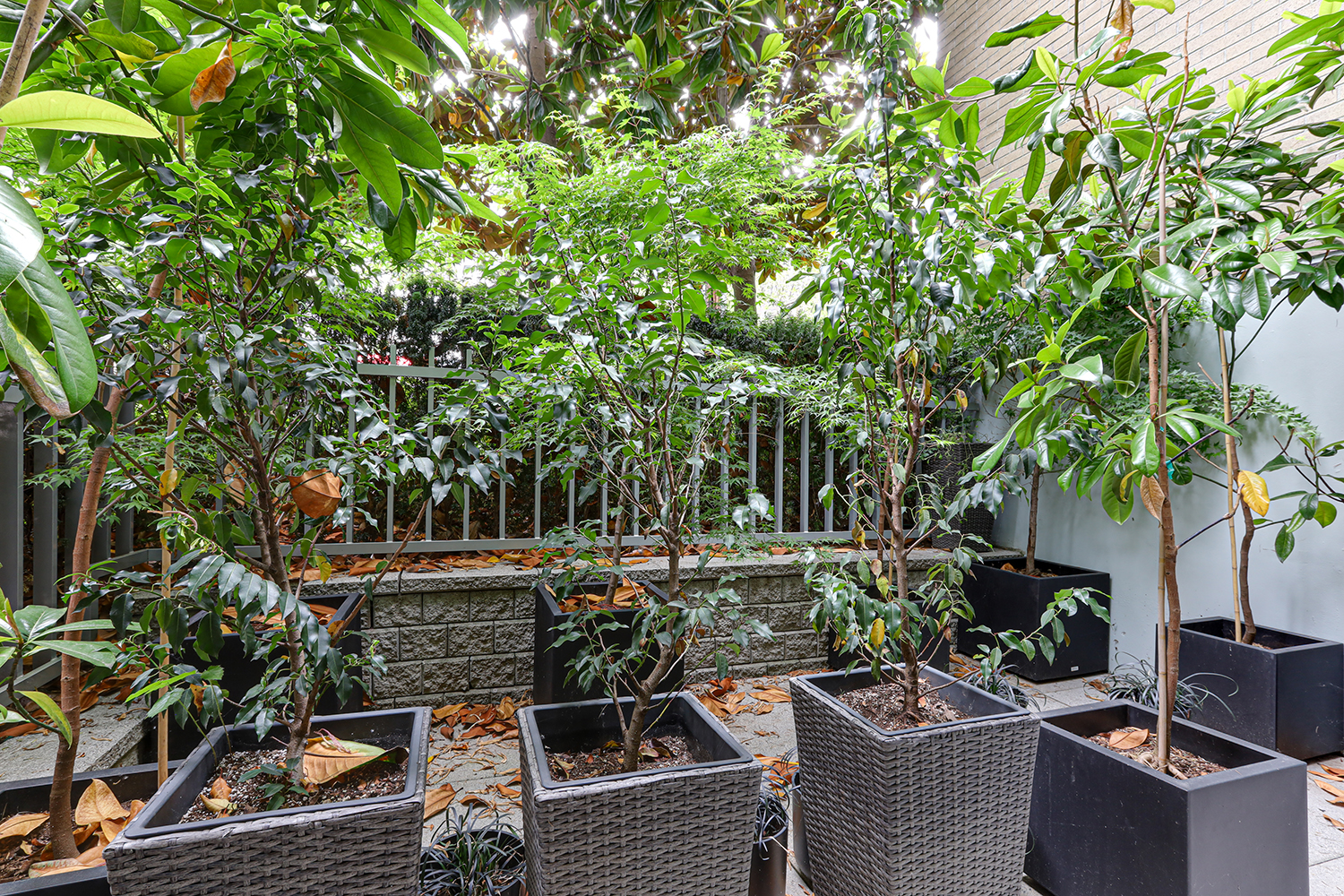 Property photo 131