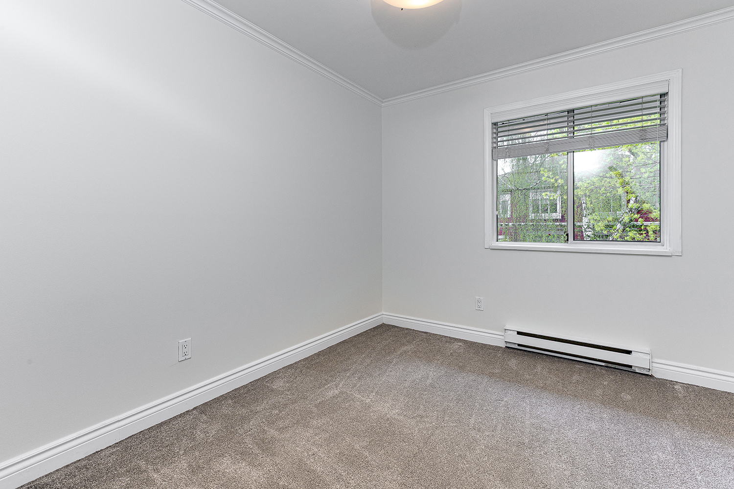 Property photo 133