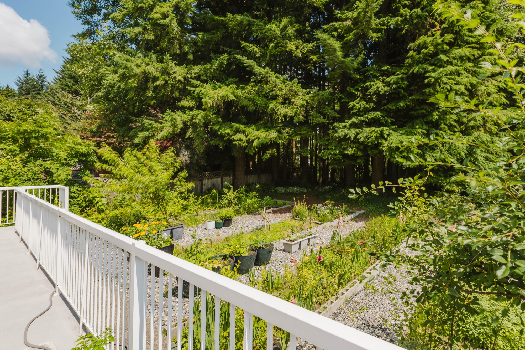 Property photo 153