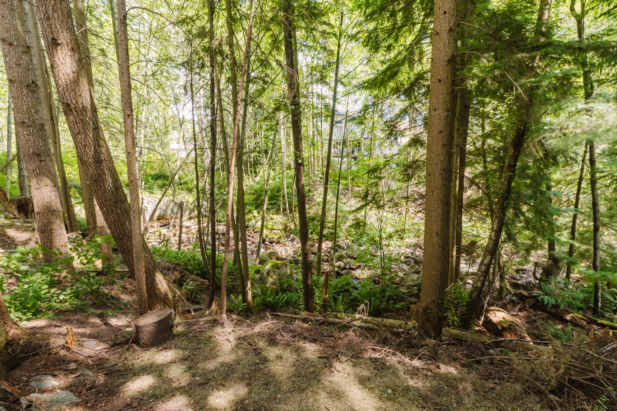 Property photo 155