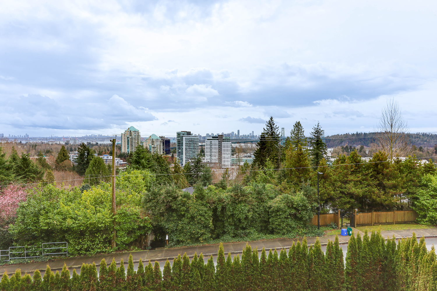 Property photo 146
