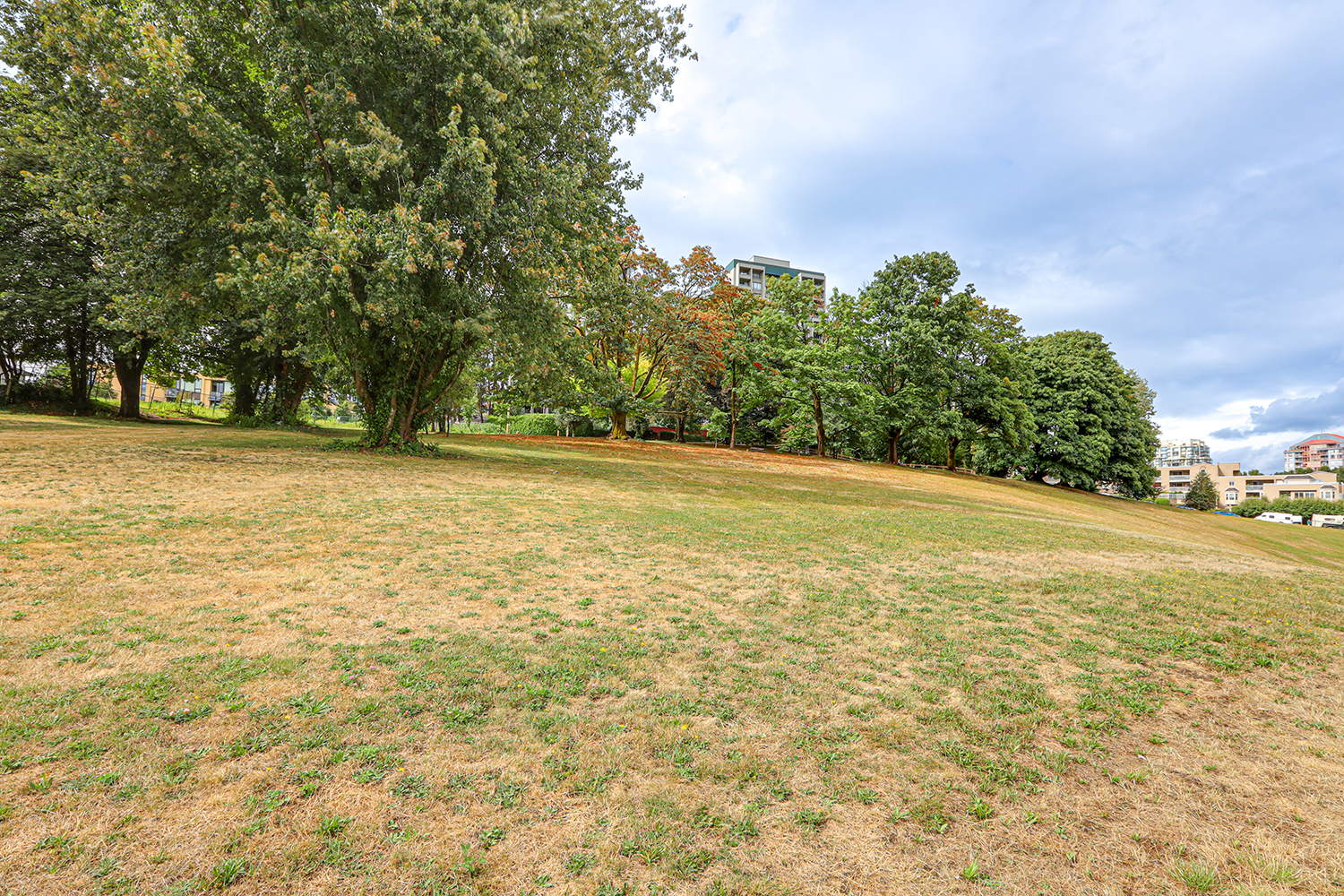 Property photo 139