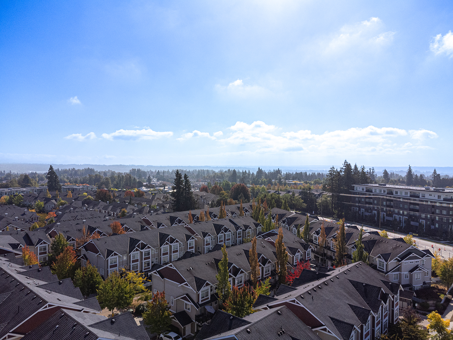 Property photo 138