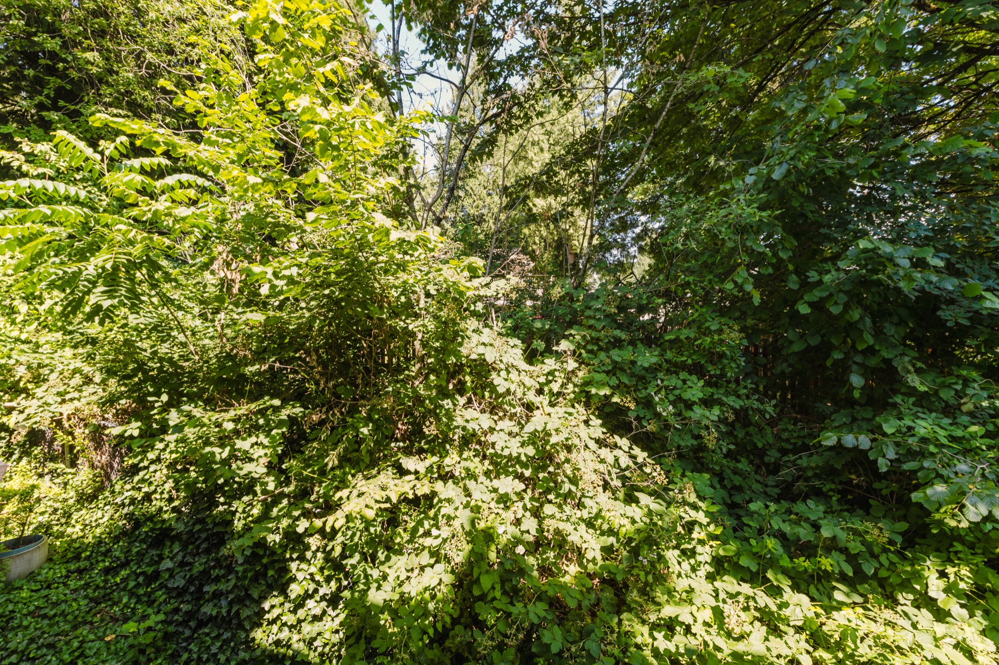 Property photo 130