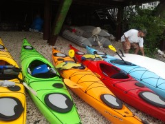 Kayaks lined up on the beach