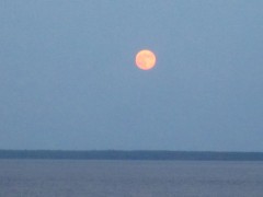 Full Moon