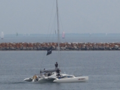 Catamaran Watching