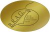 BRAG Medallion Award Winner for one of the Best Indie children's books of 2013 BRAG Medallion Award Winner
