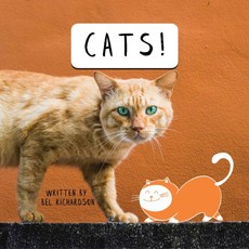 Cats Cats
