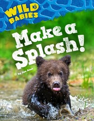Make a Splash! Make a Splash