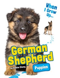 German Shepard Puppes German Shepard Puppies