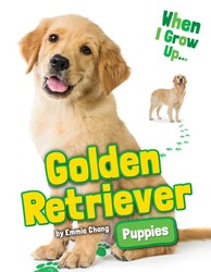 Golden Retriever Puppies Golden Retriever Puppies