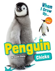 Penguin Chicks Penguin Chicks