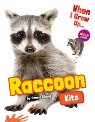 Raccoon Kits Raccoon Kits