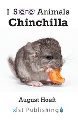 Chinchilla Chinchilla