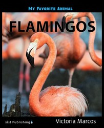 My Favorite Animal: Flamingos My Favorite Animal: Flamingos