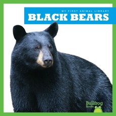 Black Bears Black Bears