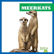 Meerkats Meerkats