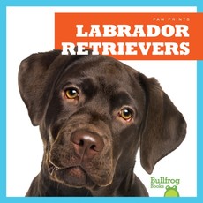 Labrador Retrievers Labrador Retrievers