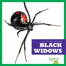 Black Widows Black Widows