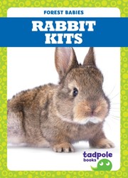 Rabbit Kits Rabbit Kits