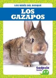 Los gazapos (Rabbit Kits) Los gazapos (Rabbit Kits)