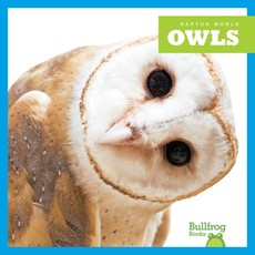 Owls Owls