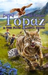 A Topaz the Conjure Cat Book Topaz and the Plum-Gista Stone (Revised Edition)