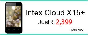 Intex