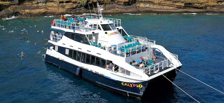 Product Molokini & Turtle Town