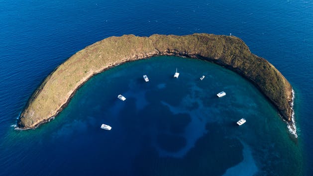 Product Molokini/Turtle Arches