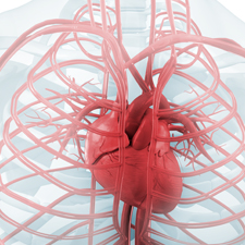 Doctors Choice Thumbnail Graphic