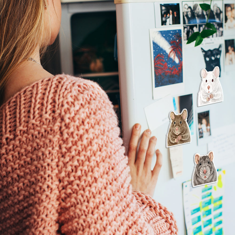 Set 3 PCS Cute Animal Refrigerator Magnets Fridge Holder Sticker Notes Message - Picture 46 of 103