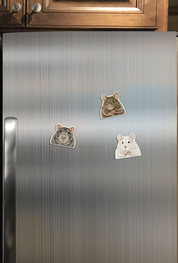 Set 3 PCS Cute Animal Refrigerator Magnets Fridge Holder Sticker Notes Message - Picture 47 of 103
