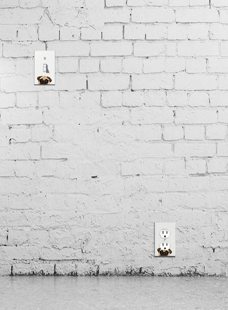 1-Gang Single Toggle Light Switch Wall Plate Decor Cover - Animal face - Picture 5 of 133