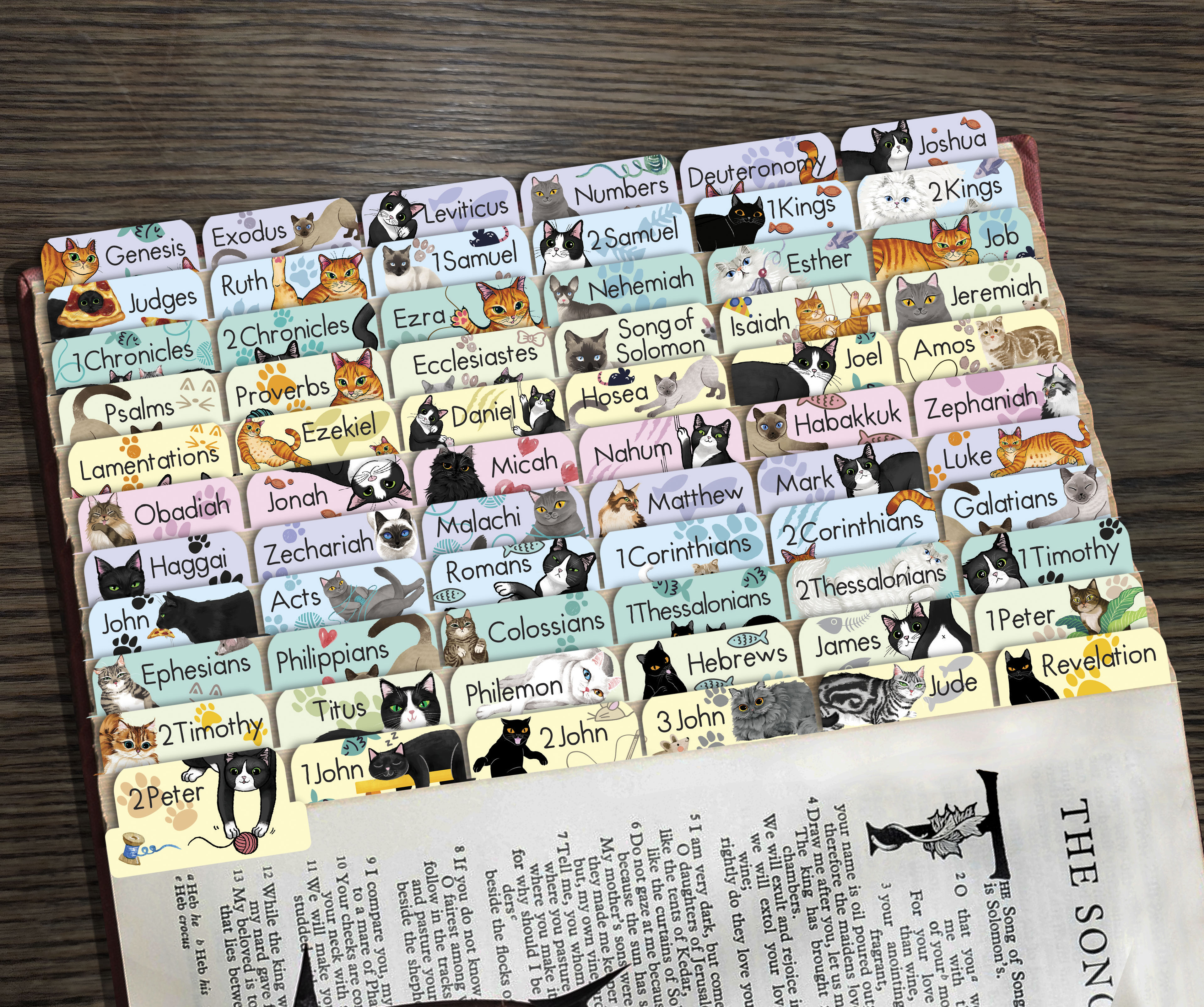 80 Bible Tabs Large Print Laminated Index Tabs (66 Book Tabs & 14 Blank Tabs) - Picture 5 of 19