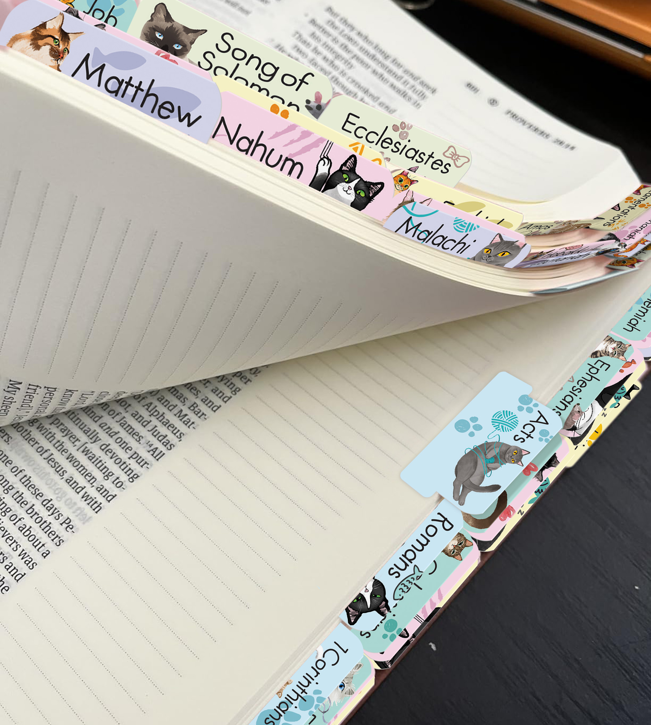 80 Bible Tabs Large Print Laminated Index Tabs (66 Book Tabs & 14 Blank Tabs) - Picture 6 of 19