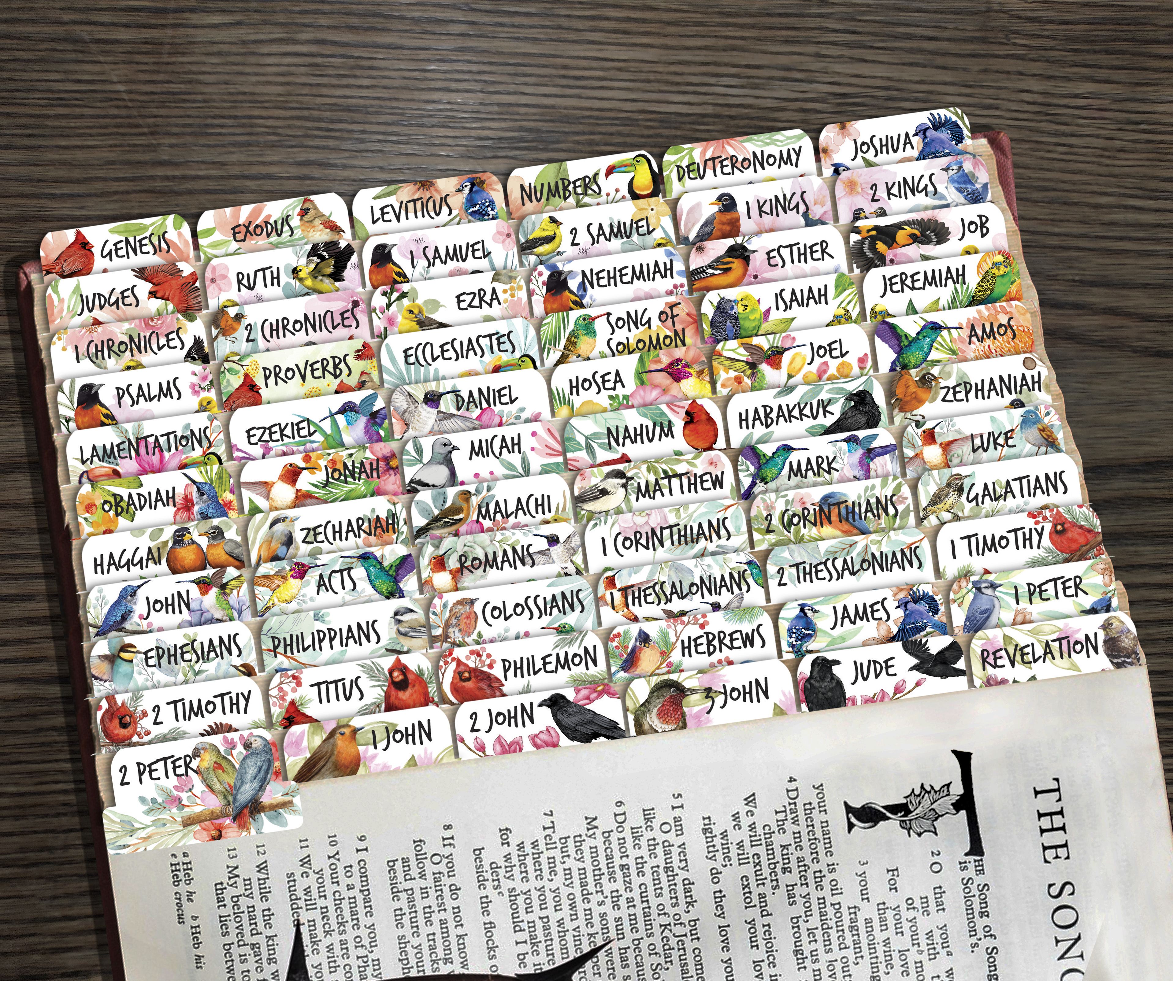 80 Bible Tabs Large Print Laminated Index Tabs (66 Book Tabs & 14 Blank Tabs) - Picture 11 of 19