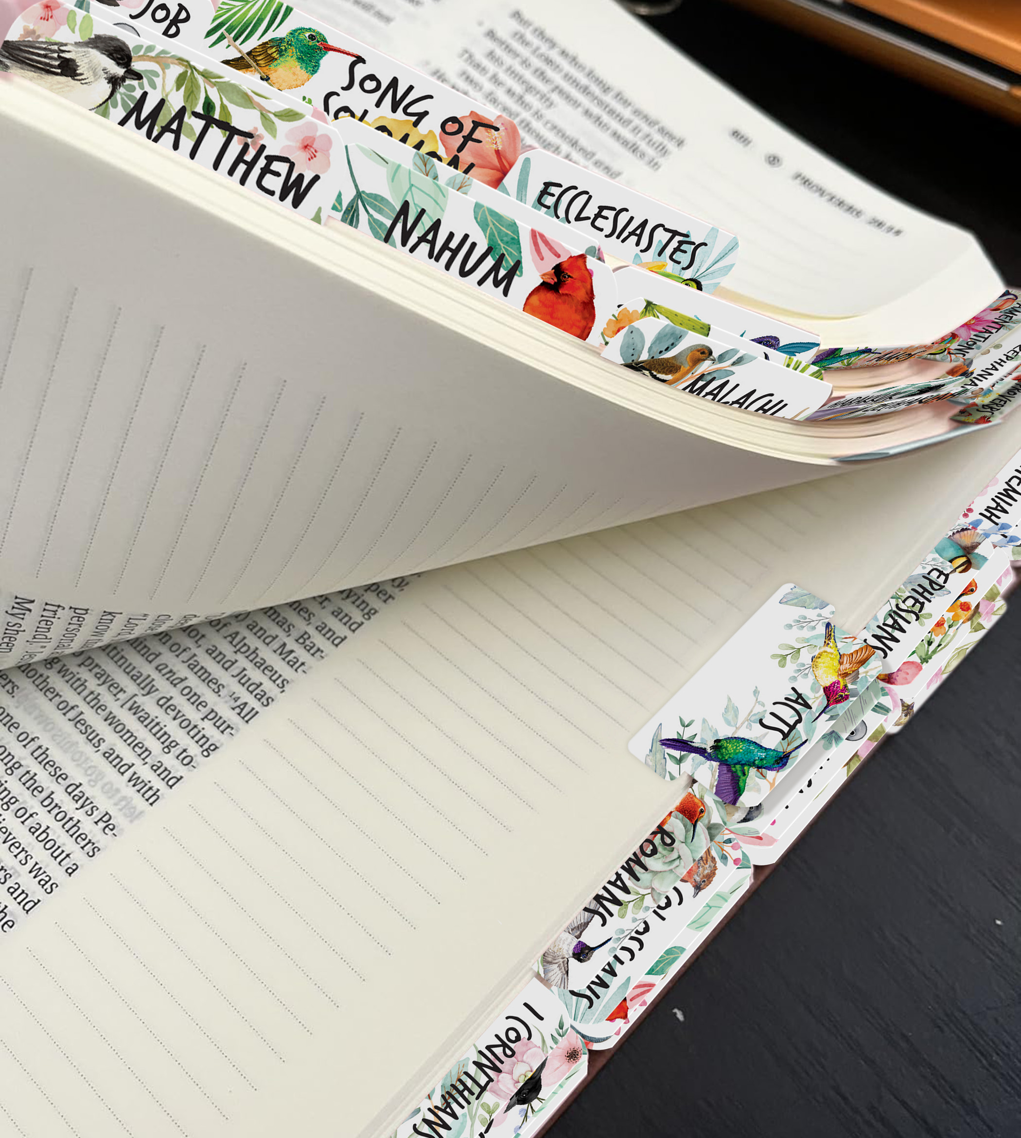 80 Bible Tabs Large Print Laminated Index Tabs (66 Book Tabs & 14 Blank Tabs) - Picture 12 of 19