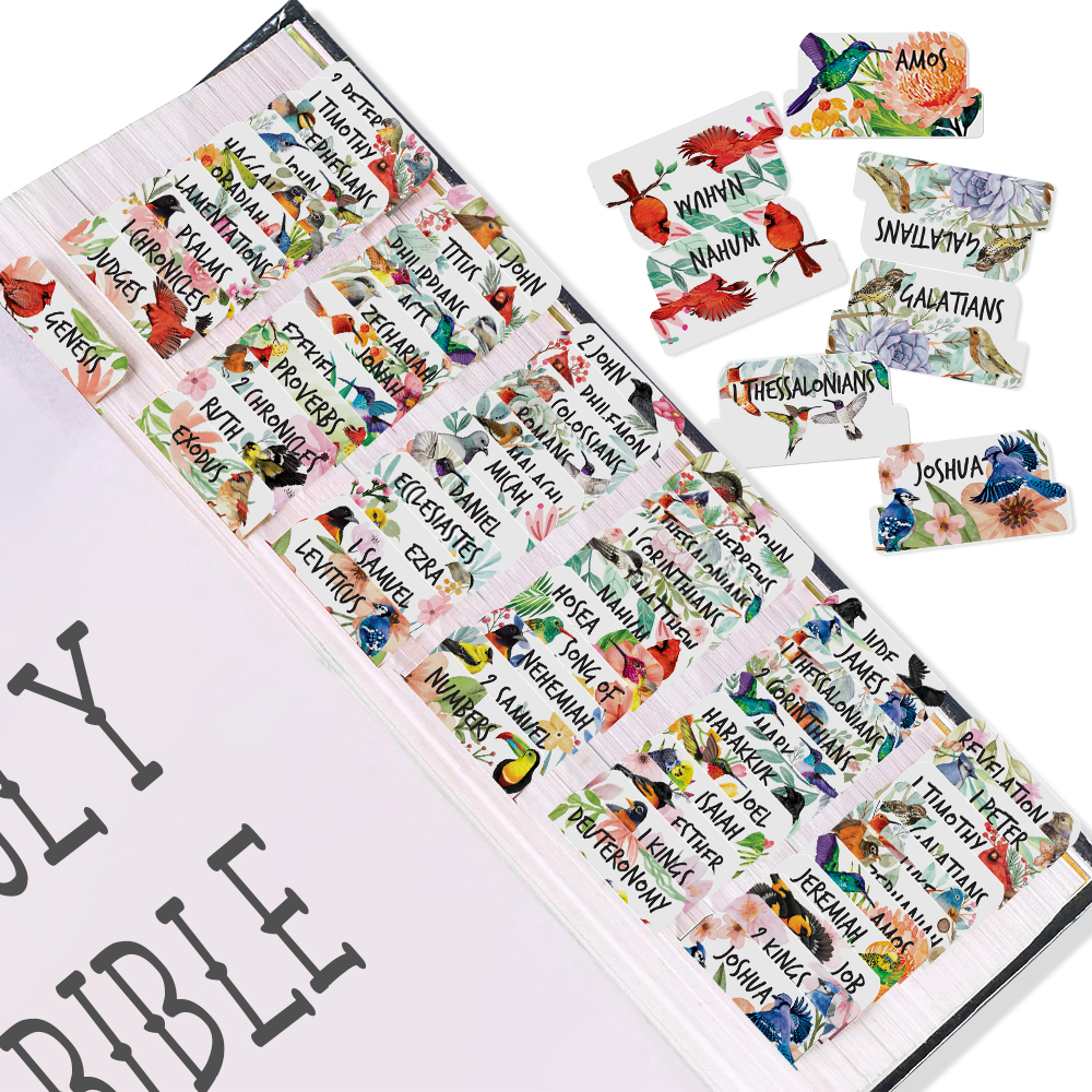 80 Bible Tabs Large Print Laminated Index Tabs (66 Book Tabs & 14 Blank Tabs) - Picture 8 of 19