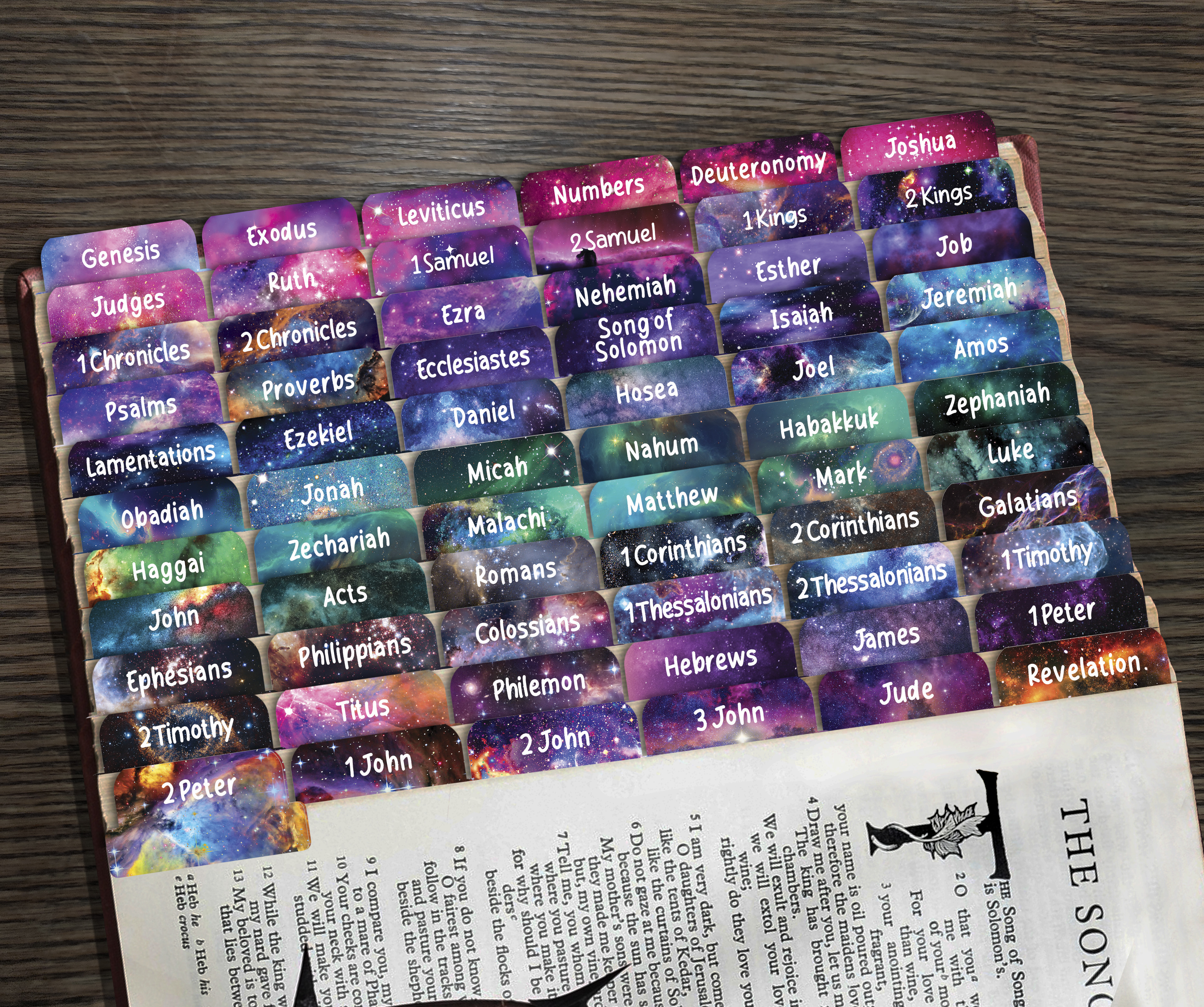 80 Bible Tabs Large Print Laminated Index Tabs (66 Book Tabs & 14 Blank Tabs) - Picture 17 of 19
