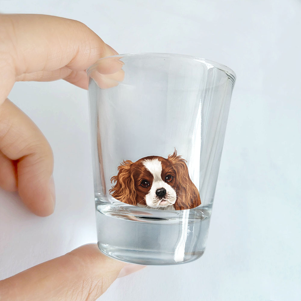 1,5 Unzen Klar Schnapsglas Messbecher mit Schwerem Boden für Tequila Whiskey Wodka - Bild 58 von 79