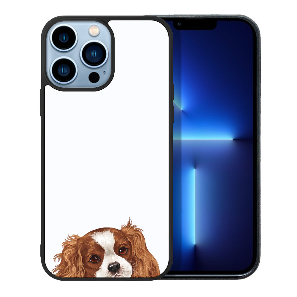 Für Apple iPhone 13 Pro Max 6,7" 2021 Tier Hard Back Case Hülle - Bild 32 von 191