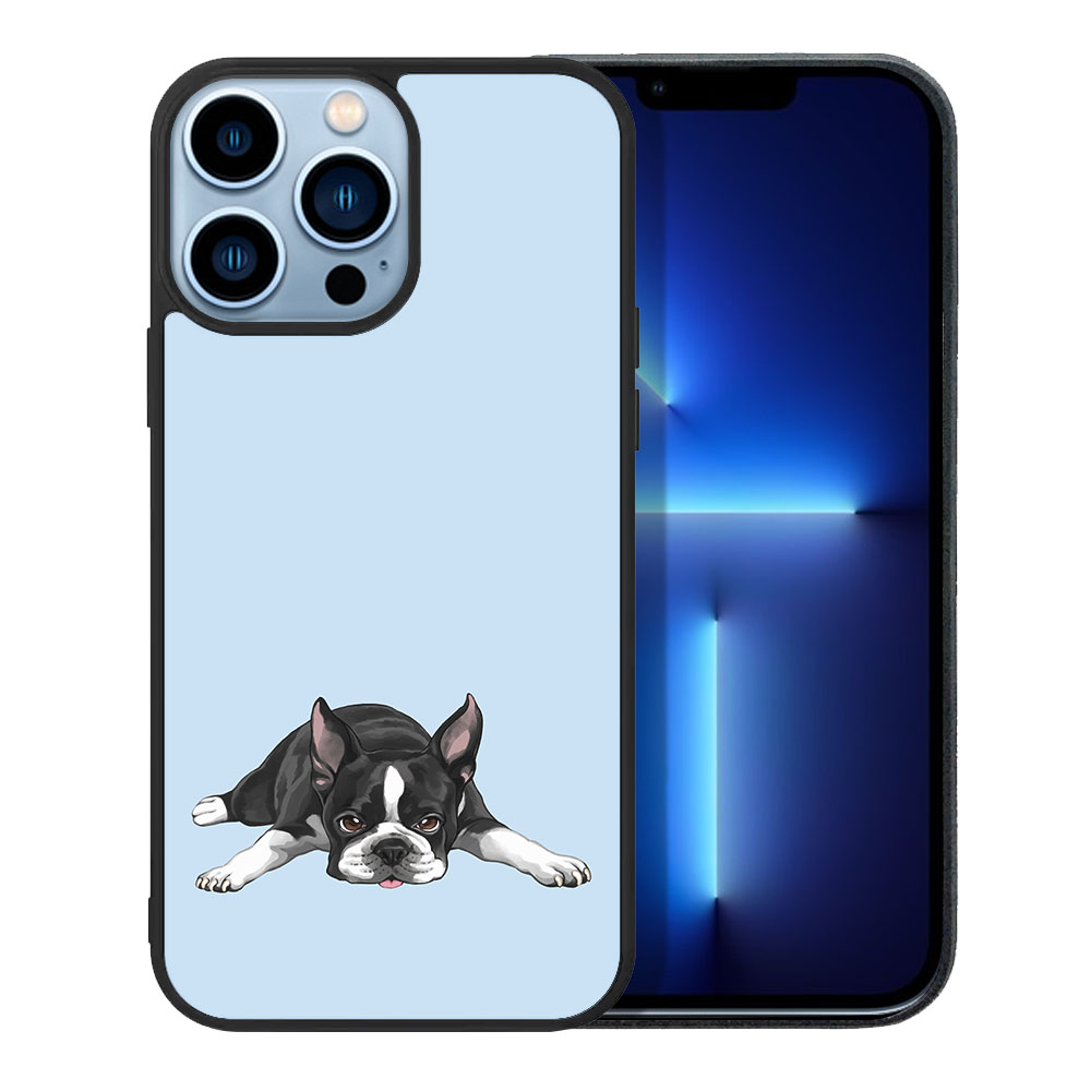 Blau Pastell Weich Gummi Slim Case Hülle für Apple iPhone 13 Pro Max 6,7" 2021 - Bild 72 von 121