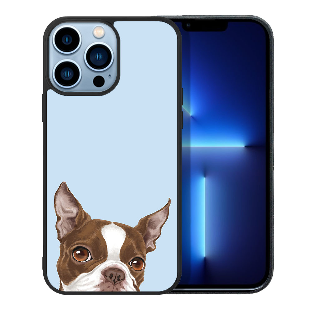 Blau Pastell Weich Gummi Slim Case Hülle für Apple iPhone 13 Pro Max 6,7" 2021 - Bild 92 von 121